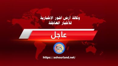 ثلاث-دول-تعترف-رسمياً-بدولة-فلسطين